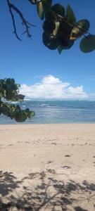 a view of a beach with the ocean in the background at Aparta Estudio Rubí. in San Felipe de Puerto Plata