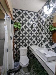 圣地亚哥阿蒂特兰Casa González的带马桶和水槽的浴室