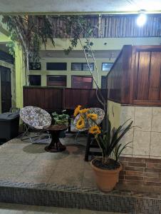 Casa González外面的花园