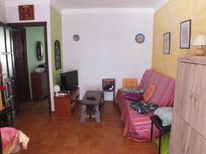 ein Wohnzimmer mit einem Sofa und einem TV in der Unterkunft Apartamento Roses, 2 dormitorios, 5 personas - ES-204-58 in Roses