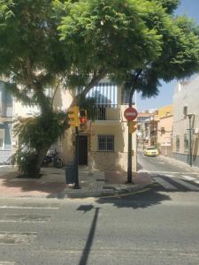 a street corner with a tree and a traffic light at Casa Hombre Blanco in Málaga