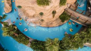Bassein majutusasutuses Andaz Macau, By Hyatt või selle lähedal