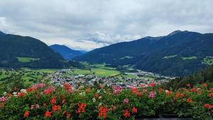 uma vista para um vale com flores e montanhas em Pension Alpenblick em Vipiteno