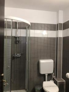 a bathroom with a toilet and a glass shower at Pensiunea Rodis in Moieciu de Sus