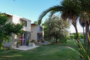 una casa con una palmera al lado de un patio en Finca Mula en Maipú