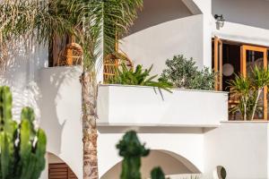 Zahrada ubytování Aristea Hotel