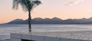 una palmera en la playa con montañas en el fondo en à 50 m des plages, proche du Palais des Festivals & vieux port à pieds superbe 3 pieces moderne 80 m2 en Cannes