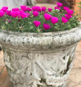 a stone planter with pink flowers in it at Hotel Palmeiras in Santana do Livramento