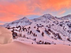 pokryta śniegiem góra z domkiem narciarskim w obiekcie Andi's Skihotel w mieście Obertauern