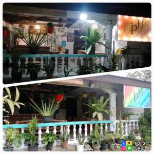 two pictures of a building with potted plants at Paraiso Hostel Moalboal in Moalboal