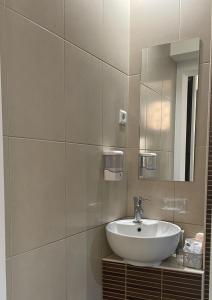 een badkamer met een wastafel en een spiegel bij TIM Apartment Sarajevo with private Parking in Sarajevo