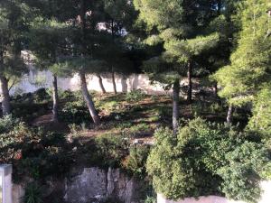 Um jardim em L’appartement - Jardin Secret