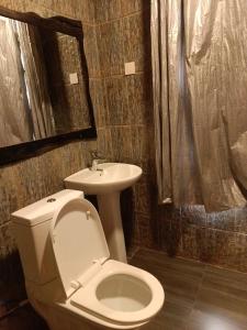 吉佳利的住宿－MANOVA BOUTIQUE HOTEL KIGALI，一间带卫生间和水槽的浴室