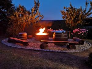 a fire pit in the middle of a yard at Papa Franks House in Ptuj