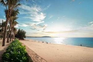 - une plage avec des palmiers et l'océan dans l'établissement Apec Mui Ne sea view apartment, à Ấp Thiẹn Ái