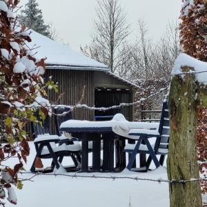 einen Picknicktisch und schneebedeckte Bänke in der Unterkunft Ferienhaus Neuville in ruhiger Lage in Büllingen