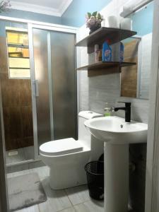 a bathroom with a shower and a toilet and a sink at Cozy Karen in Nairobi