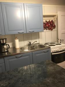a kitchen with a sink and a stove at Aurora Center 3 in Rovaniemi