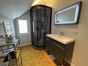 uma casa de banho com um chuveiro, um lavatório e um espelho. em La Maison du Centenaire - Spa - Garages - Rêve au Mans em Le Mans