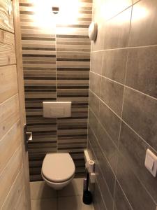a bathroom with a toilet and a tile wall at Chalet Flocon in Les Deux Alpes