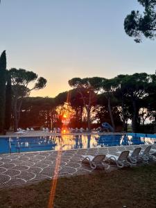 eine Gruppe von Stühlen neben einem Pool in der Unterkunft Belvedere Pineta Camping Village Grado in Grado