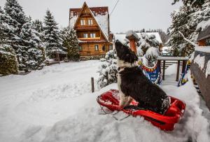 Obiekt Apartamenty u Rusina zimą