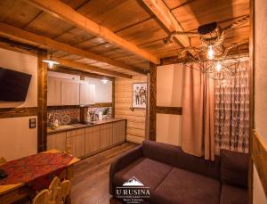 Kuchyňa alebo kuchynka v ubytovaní Apartamenty u Rusina
