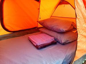 een bed in een tent met twee kussens erop bij MIRA AgroPark 