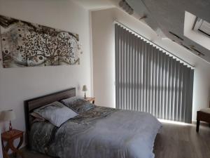 1 dormitorio con cama grande y ventana grande en Appartement duplex indépendant, dans maison. en Tresserves