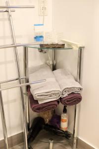 a glass shelf with towels on it in a room at Dzintara apartamenti in Kuldīga +26 photos