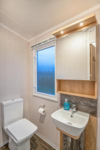 a bathroom with a toilet and a sink and a window at Luxury 8 Berth-Wheelchair Access in Port Seton