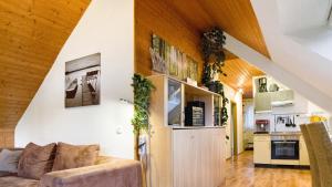 ein Wohnzimmer mit einem Sofa und einer Küche in der Unterkunft Ferienwohnungen Seeblick in Unterkirnach