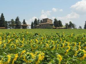 un campo de girasoles frente a una casa en Il Fortino di San Francesco, en Collestrada