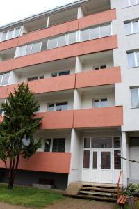 a building with a tree in front of it at Dzintara apartamenti in Kuldīga