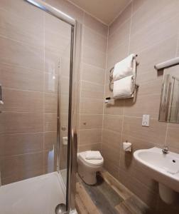 La salle de bains est pourvue de toilettes, d'un lavabo et d'une douche. dans l'établissement Villager Hotel, à Ingoldmells