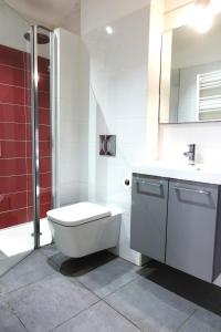 y baño con aseo, ducha y lavamanos. en Studios Meublés du Centre Village, en Argelès-sur-Mer