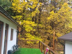 a balcony with a tree with yellow leaves at Popas Momaia in Curtea de Argeş