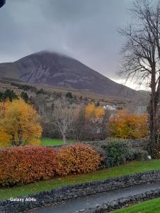 a mountain in the distance with trees and a road at Elmgrove Apartment , Croagh Patrick Westport in Westport