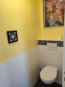 ein Bad mit einem WC und einem Wandgemälde in der Unterkunft Appartement duplex indépendant, dans maison. in Tresserves