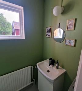 Baño verde con lavabo y espejo en Ferienhaus am Waldrand en Lillhärdal