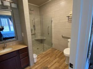 uma casa de banho com um chuveiro, um lavatório e um WC. em An Adirondack Getaway em Keeseville
