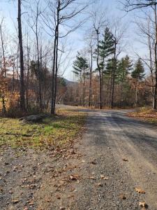 un camino vacío en medio de un bosque en An Adirondack Getaway, en Keeseville