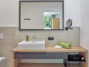 Ένα μπάνιο στο Apartment s`Groasse am Hannesnhof by Interhome +30 φωτογραφίες