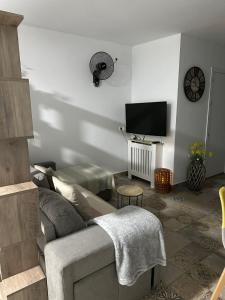 sala de estar con sofá y TV de pantalla plana en LOFT EN PATIO DE CASA TÍPICA DE PUEBLO, en Villafranca de Córdoba