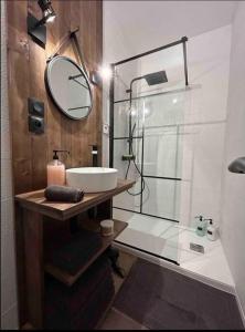une salle de bain avec un lavabo et une douche avec un miroir dans l'établissement 4 Pièces, 70m² en centre-ville, à Bourges