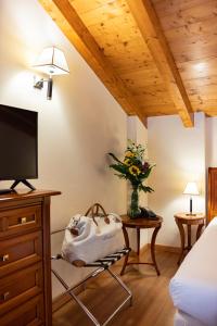 TV a/nebo společenská místnost v ubytování Hotel Venice Resort Airport