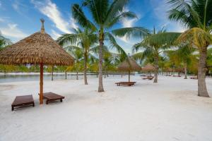 una playa con bancos y palmeras en una playa en VIN GRAND PARK - TP. THỦ ĐỨC en Gò Công
