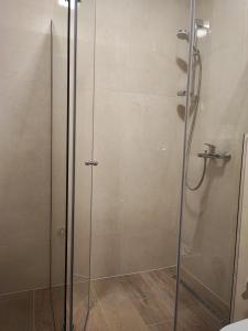 a shower with a glass door in a bathroom at Apartman Olaf Bjelašnica in Bjelašnica