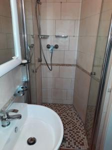 a bathroom with a shower with a sink and a shower at Apartment Malsam in Unterbränd