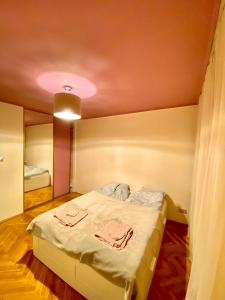 1 dormitorio con 1 cama con techo rosa en Cheap entire apartment in a super location en Cracovia